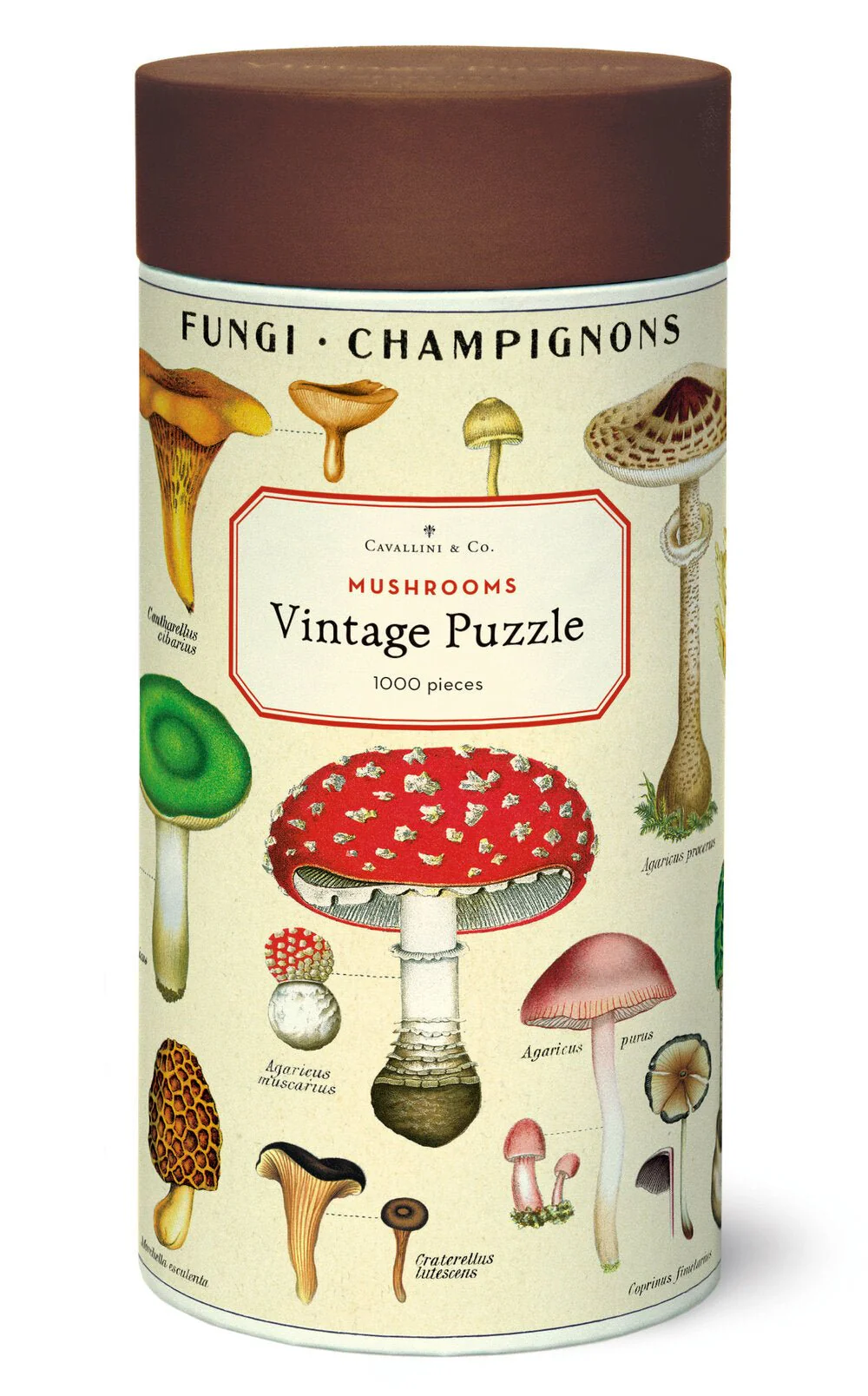 1000 Piece Puzzle / Mushrooms