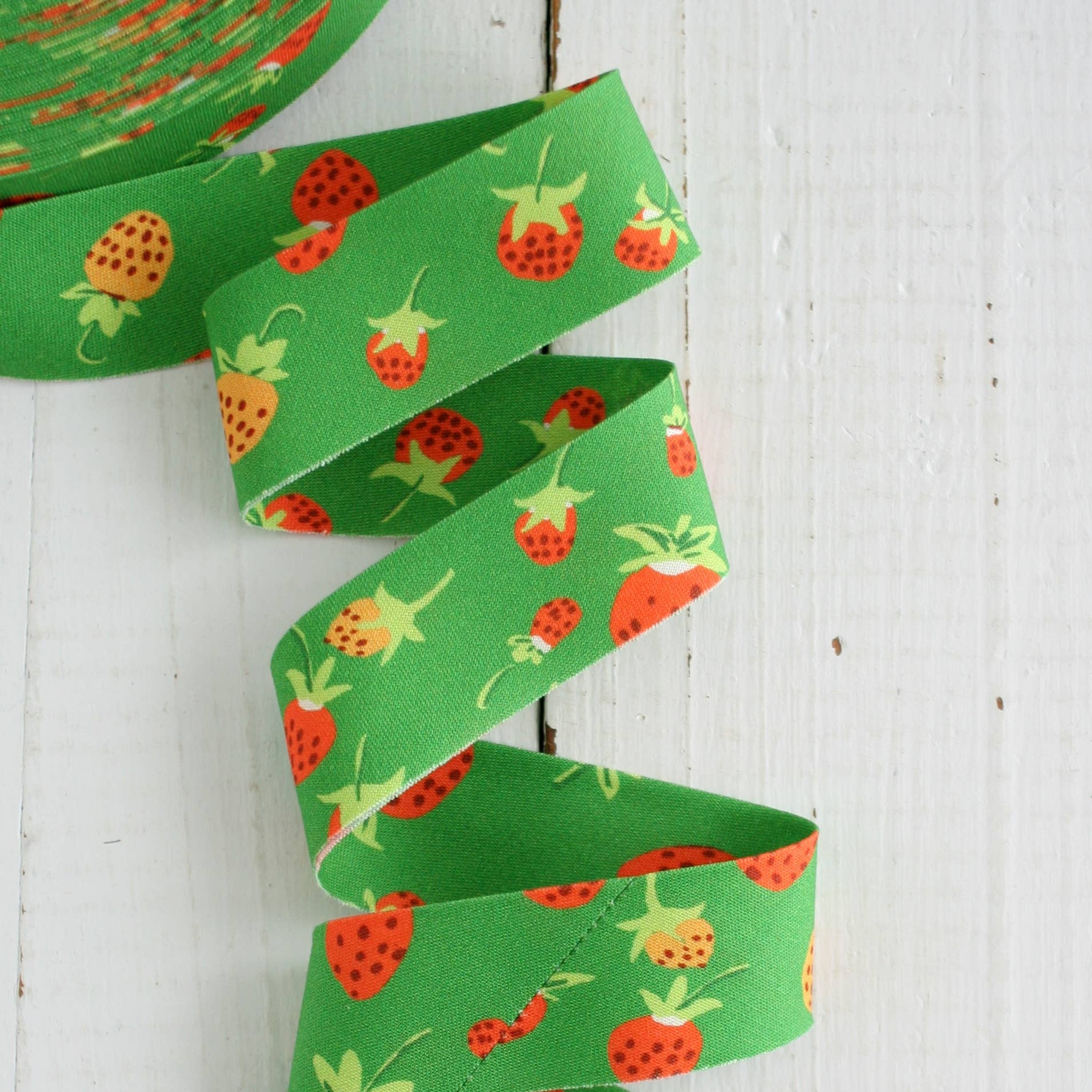 2.5" Bias Quilt Binding / Heather Ross Strawberries
