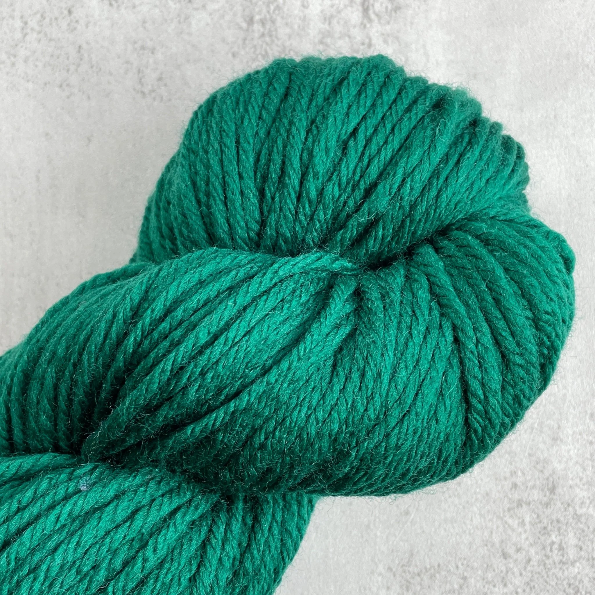220 Superwash Aran / 1950 Hunter Green
