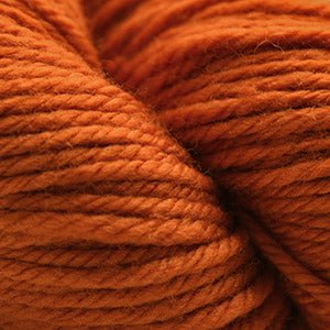 220 Superwash Aran / 337 Pumpkin Spice