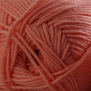 220 Superwash Merino / 101 Desert Flower