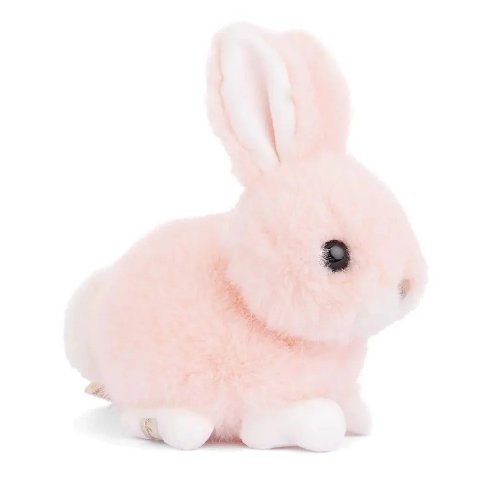 Baby Bunny / Peach
