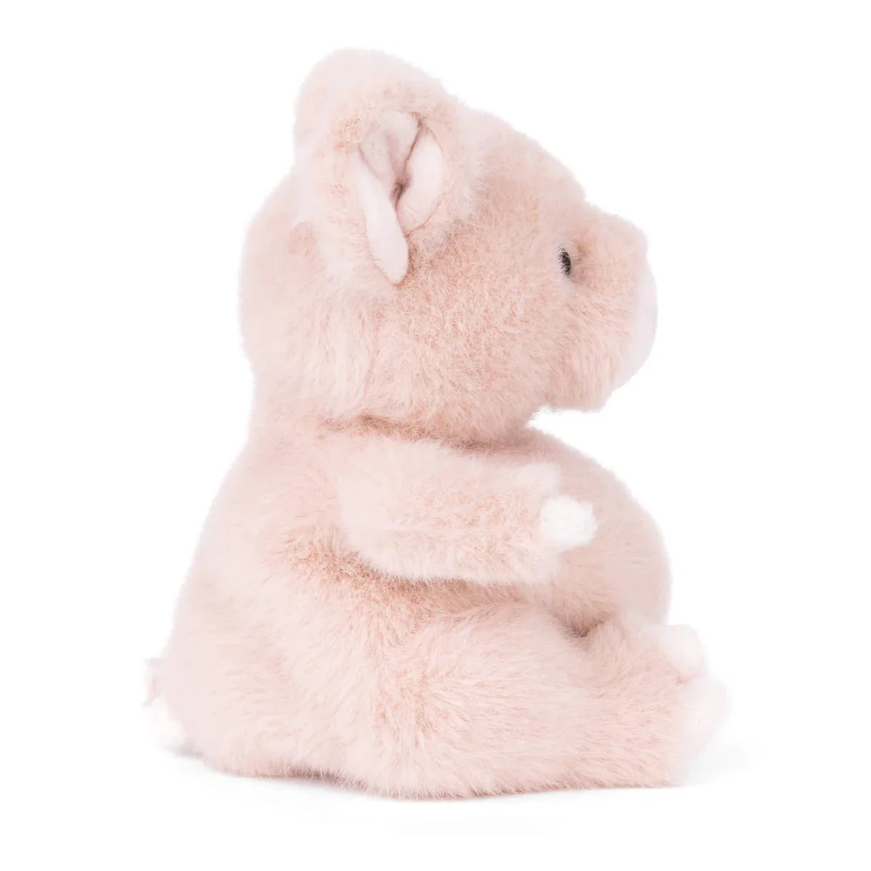 Baby Oink - Image 2