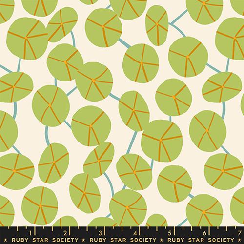 Calathea / Pilea / Natural