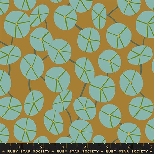 Calathea / Pilea / Suede