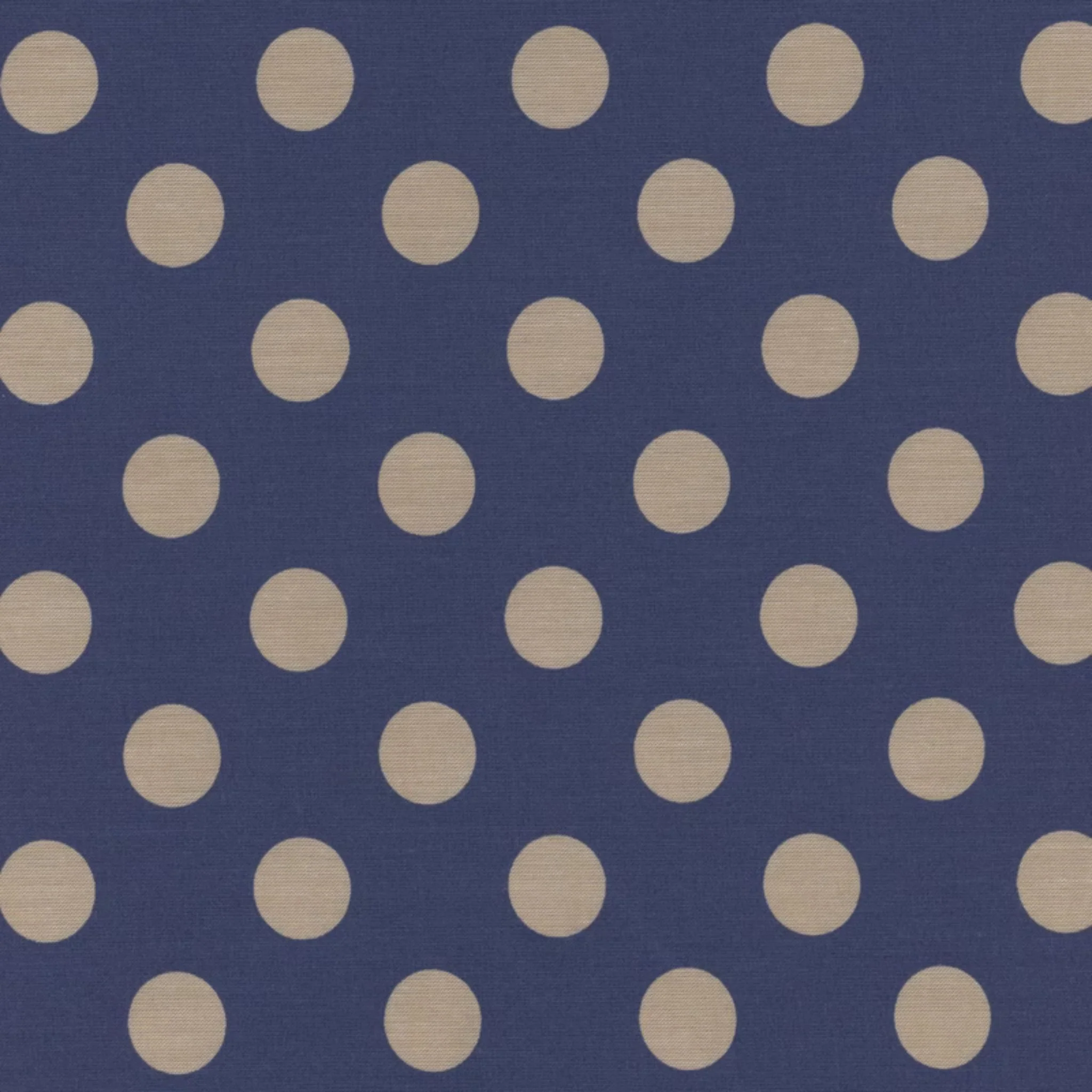 Chambray Dots / Denim