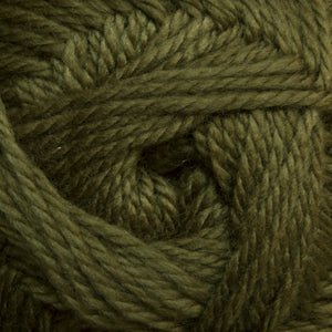 Cherub Aran / 60 Fir Green