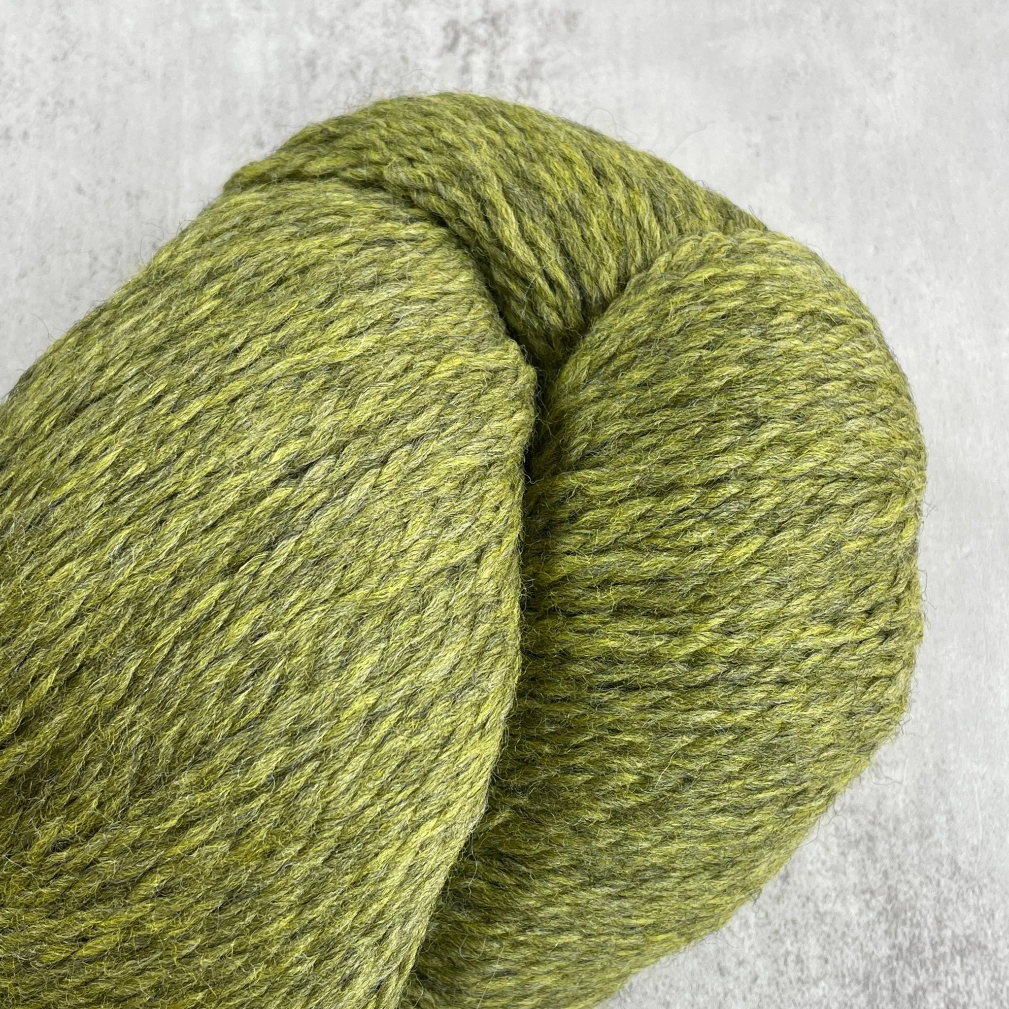 Eco Plus / 2452 Turtle