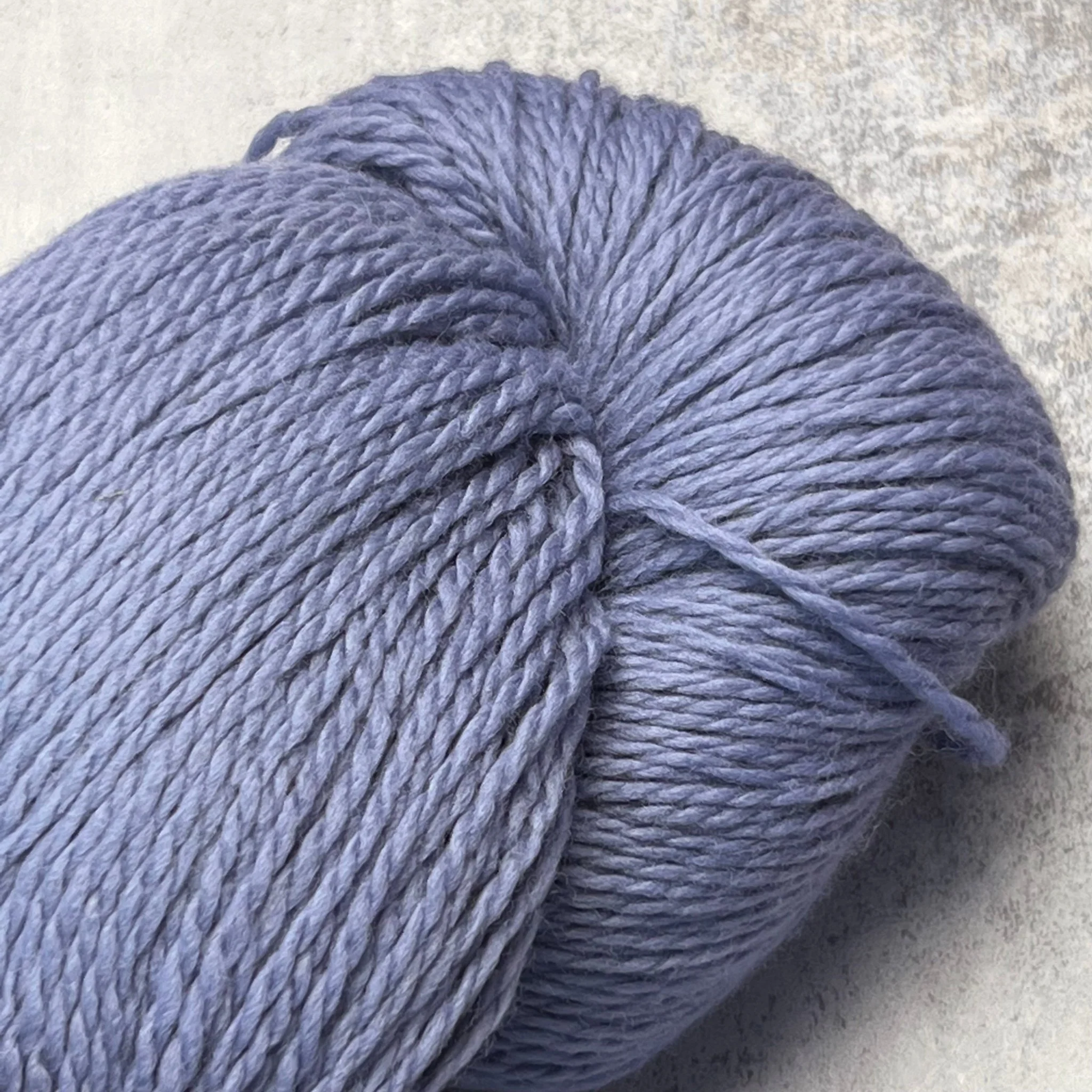 Eco Plus / 3124 Blue Heron