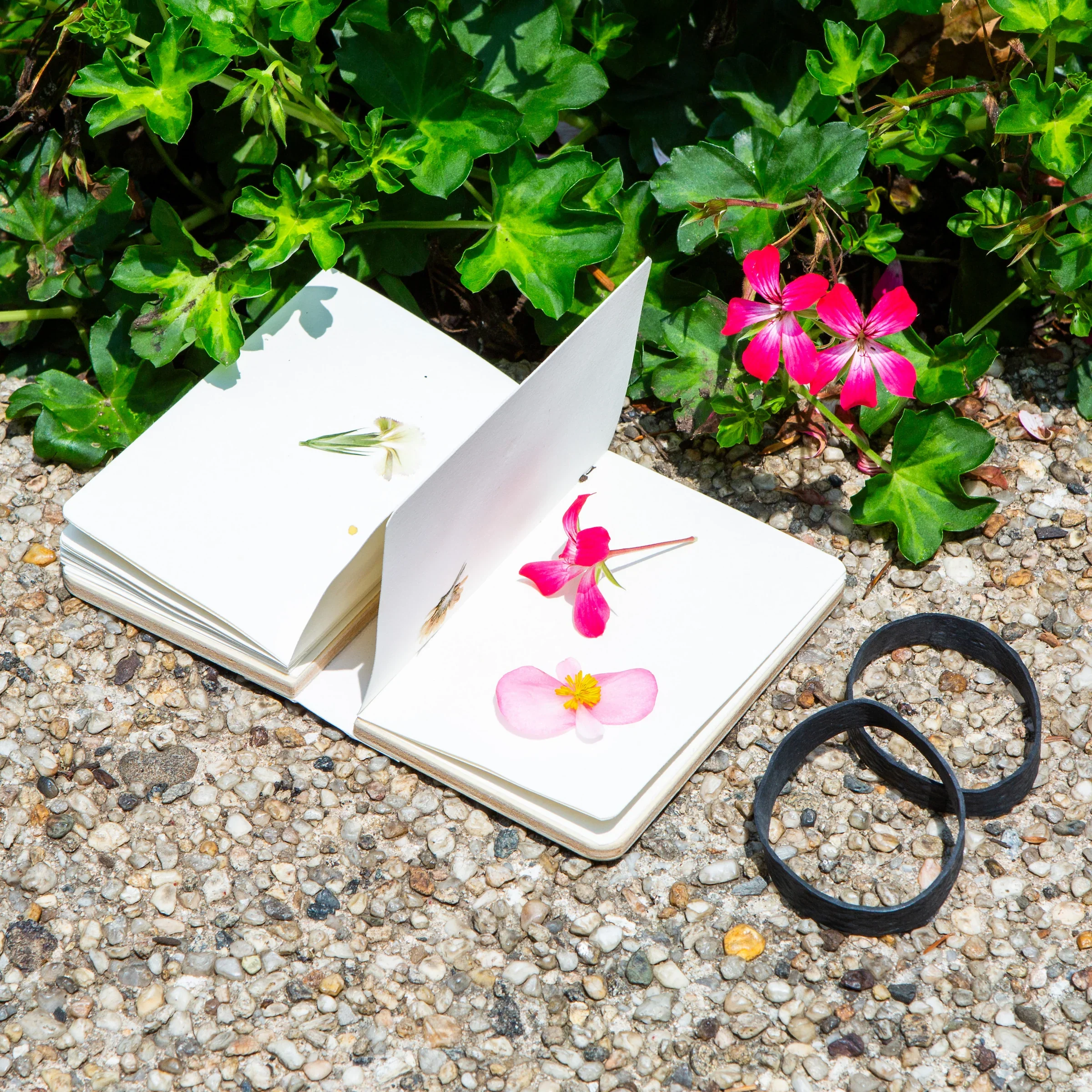 Field Flower Press - Image 2