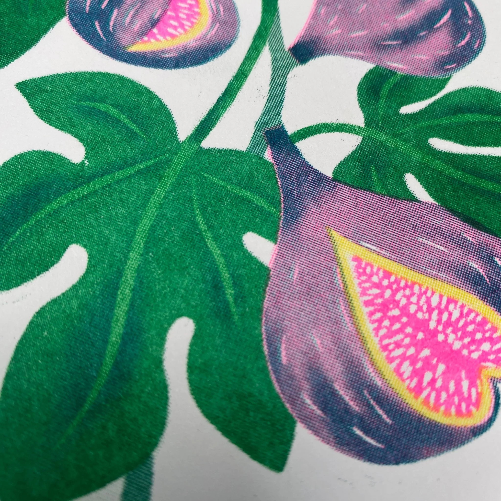 Fig Card - Image 3