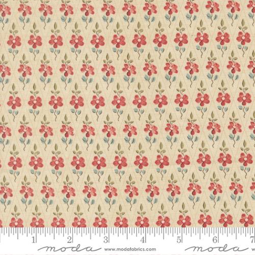 Fleur De Paris / Paquerette / Pearl