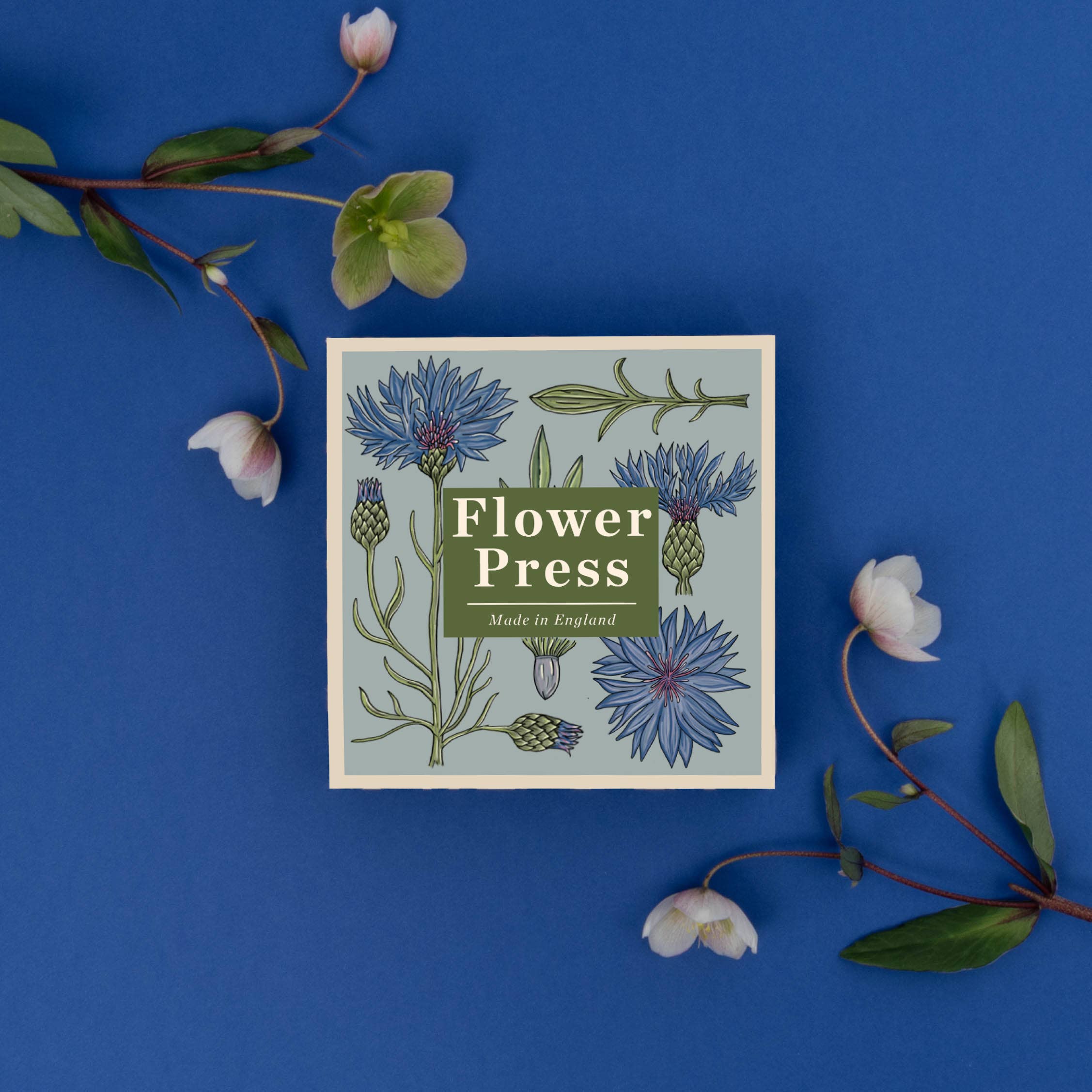 Flower Press - Cornflower - Image 3