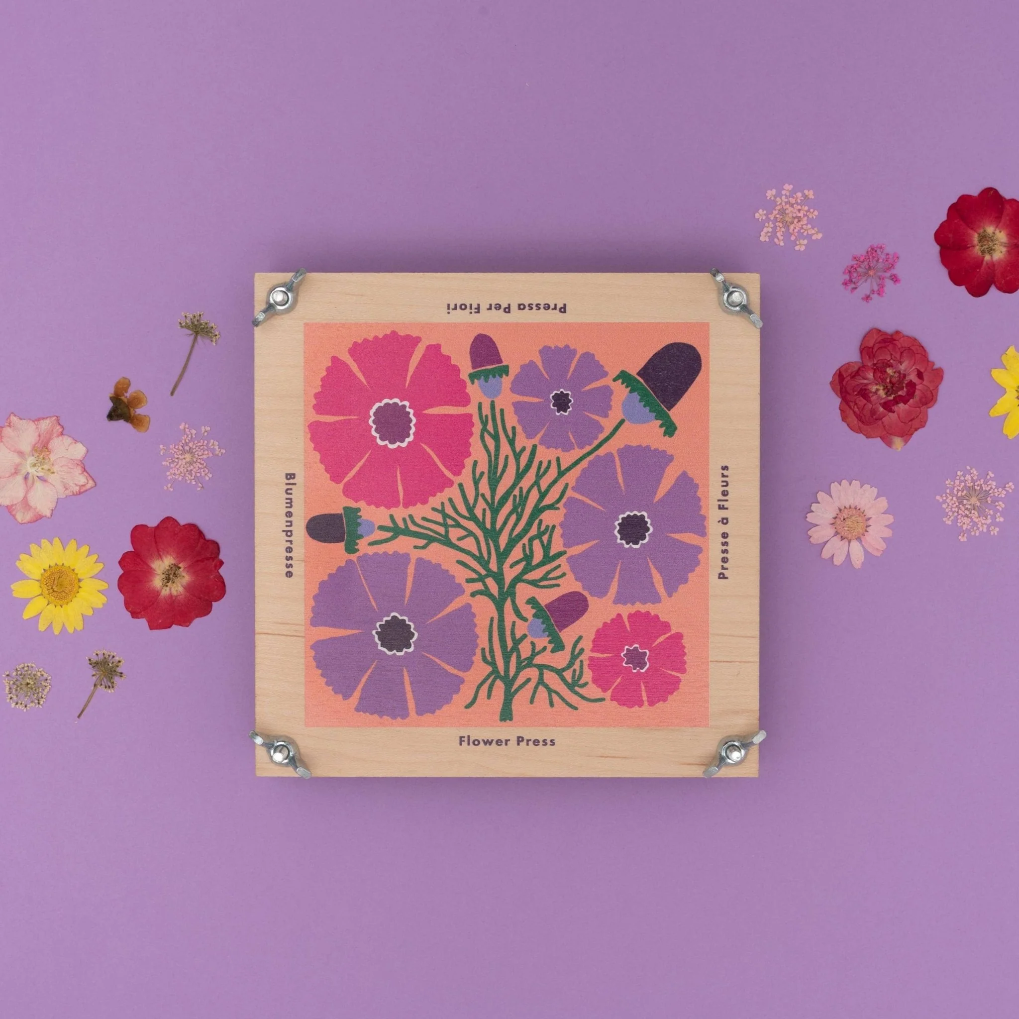 Flower Press - Cosmos - Image 2