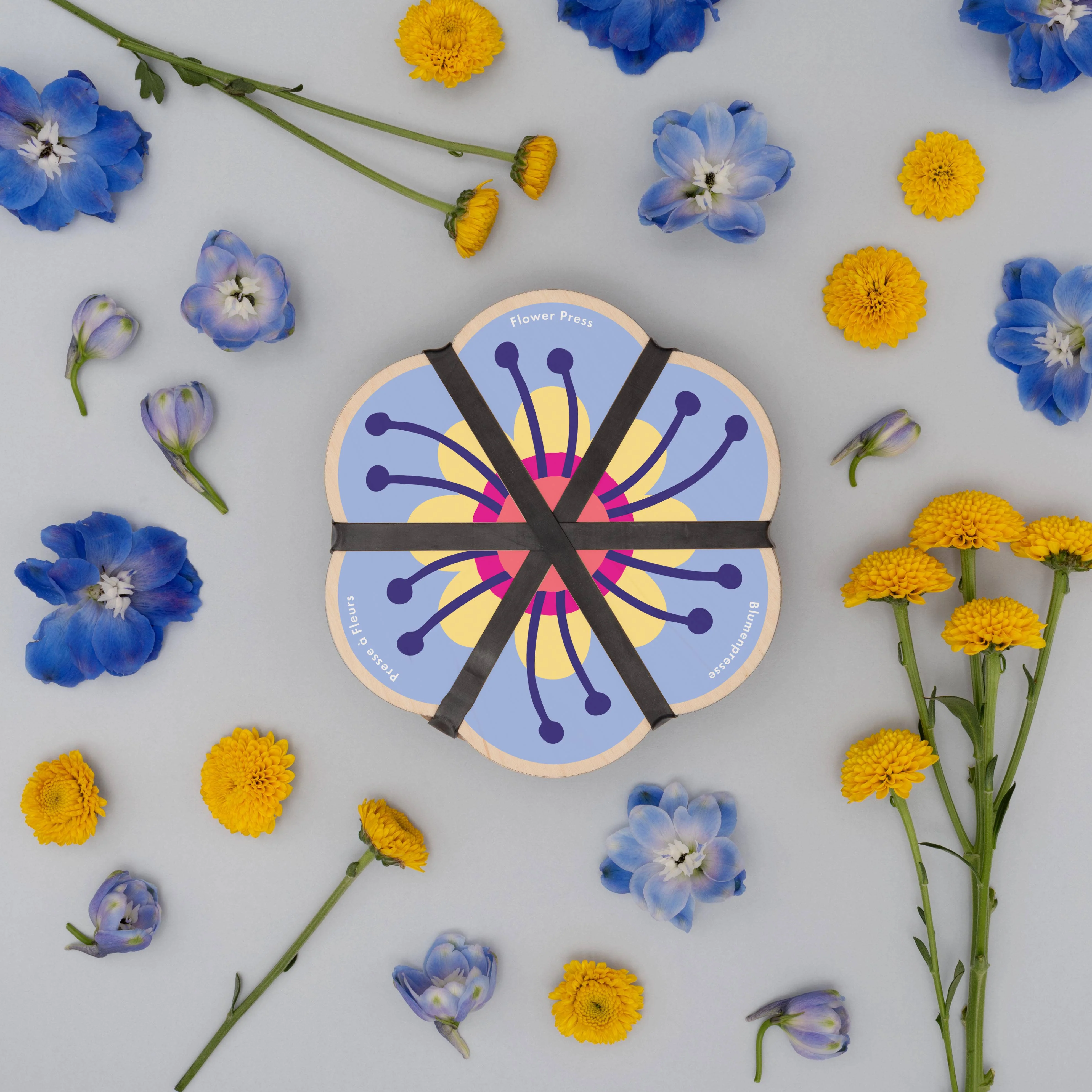 Flower Shaped Press - Cornflower Blue - Image 2