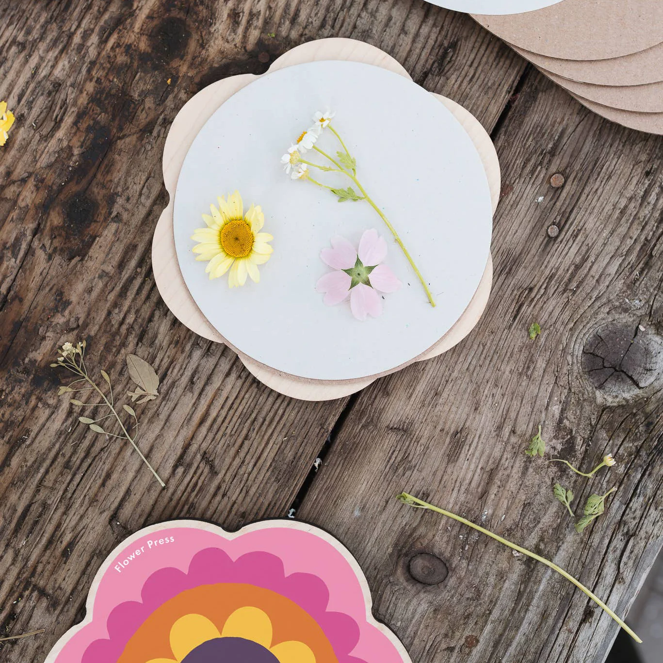 Flower Shaped Press - Pinks & Yellows - Image 2