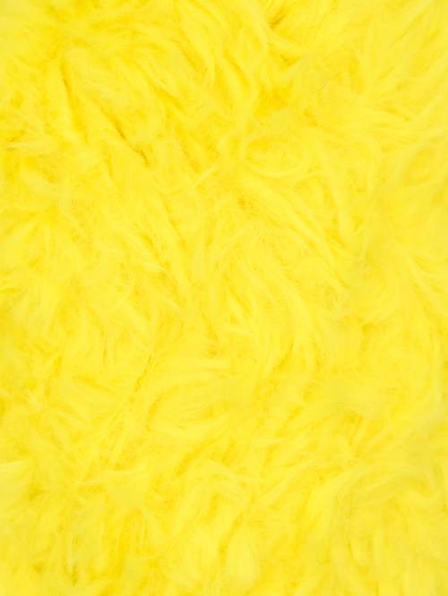 Furreal / 23 Golden Canary