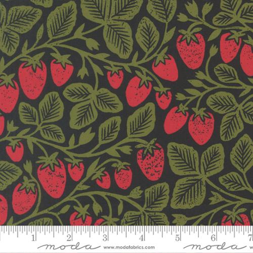 Garden Series / Strawberry / Midnight