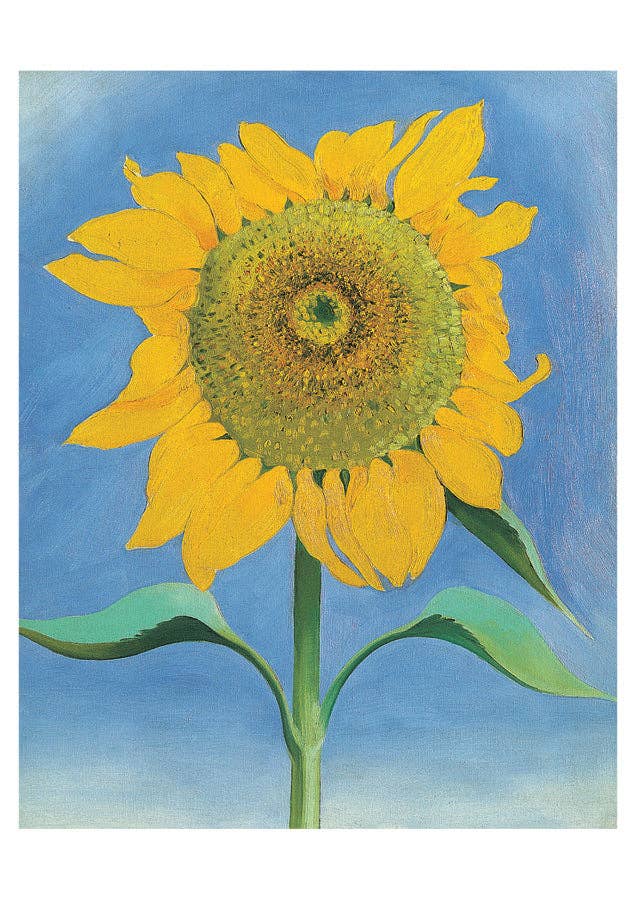 Georgia O'Keeffe: Sunflowers Notecard Folio - Image 3