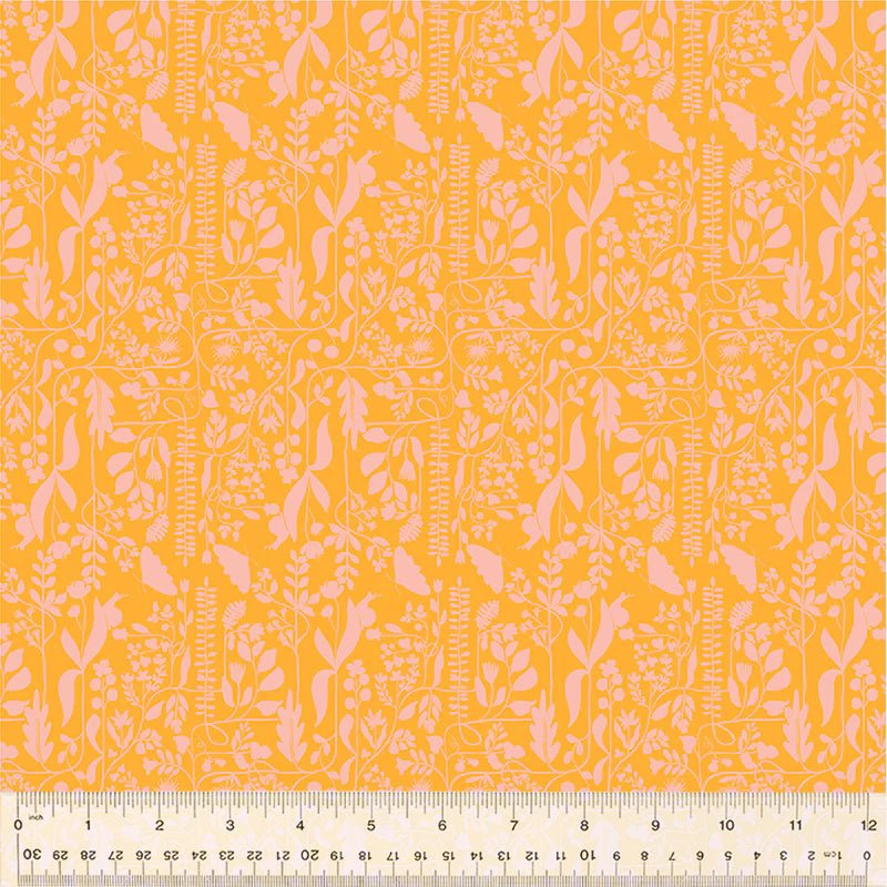 Insectarium / Meander / Orange