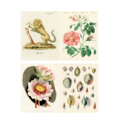 John Derian Sticker Book II - Image 2