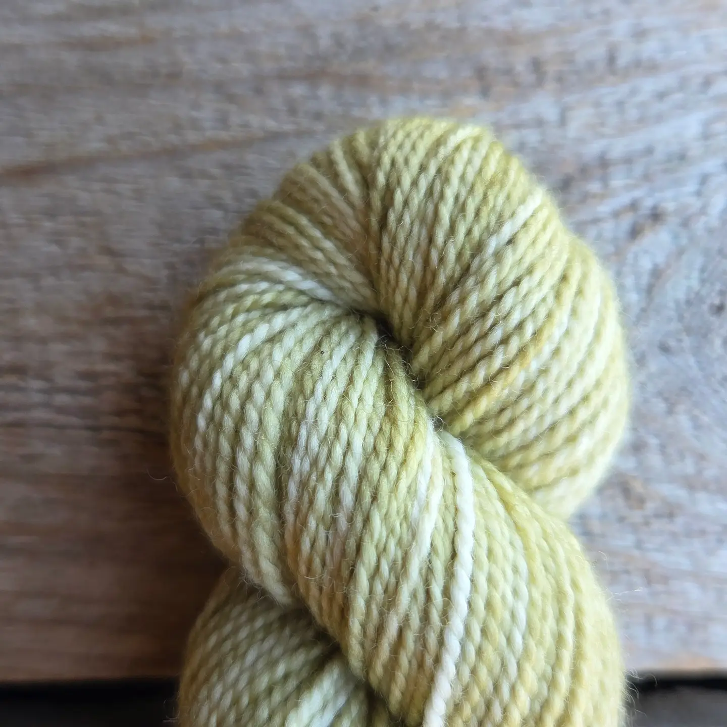 Koigu KPM Semisolids / 2343