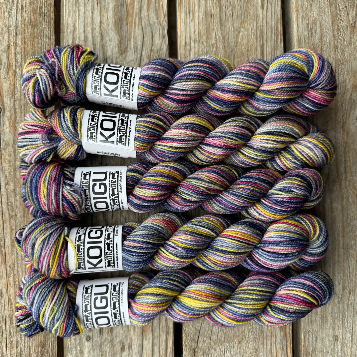 Koigu KPPPM 50g / P824