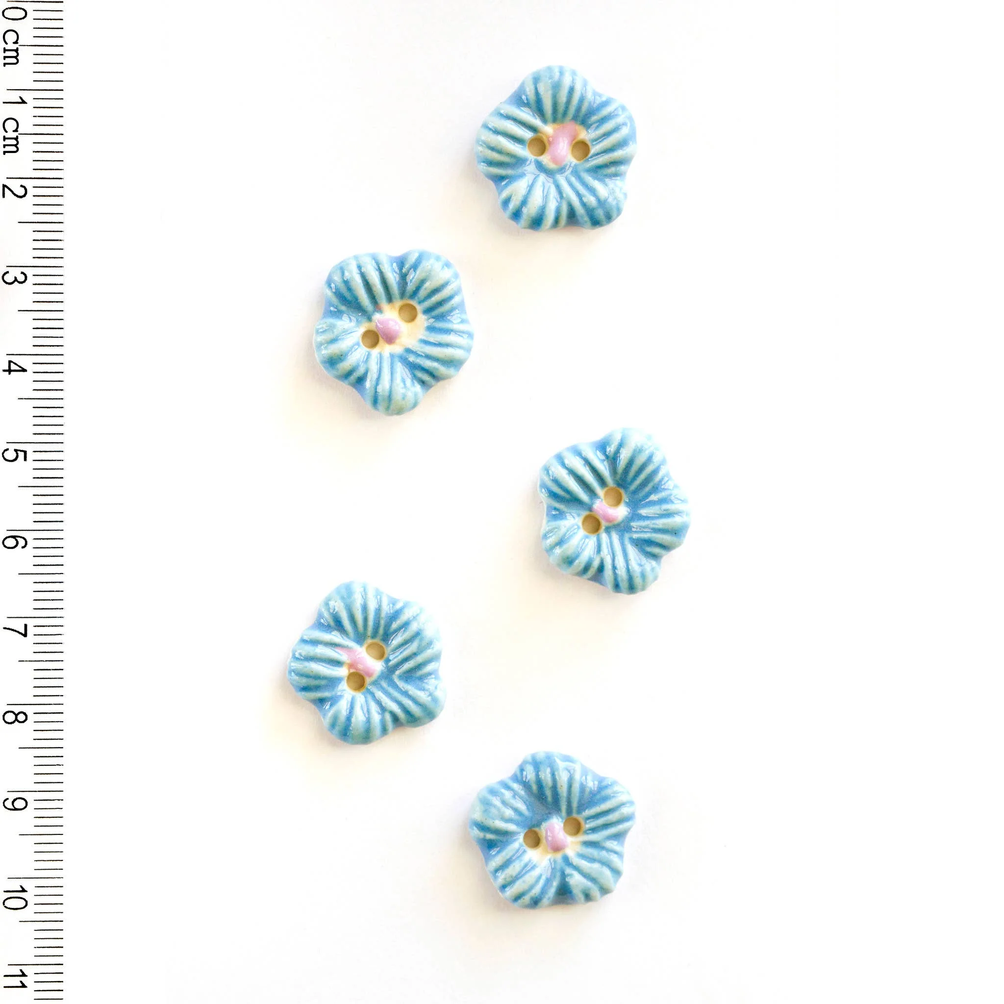 Blue Flowers