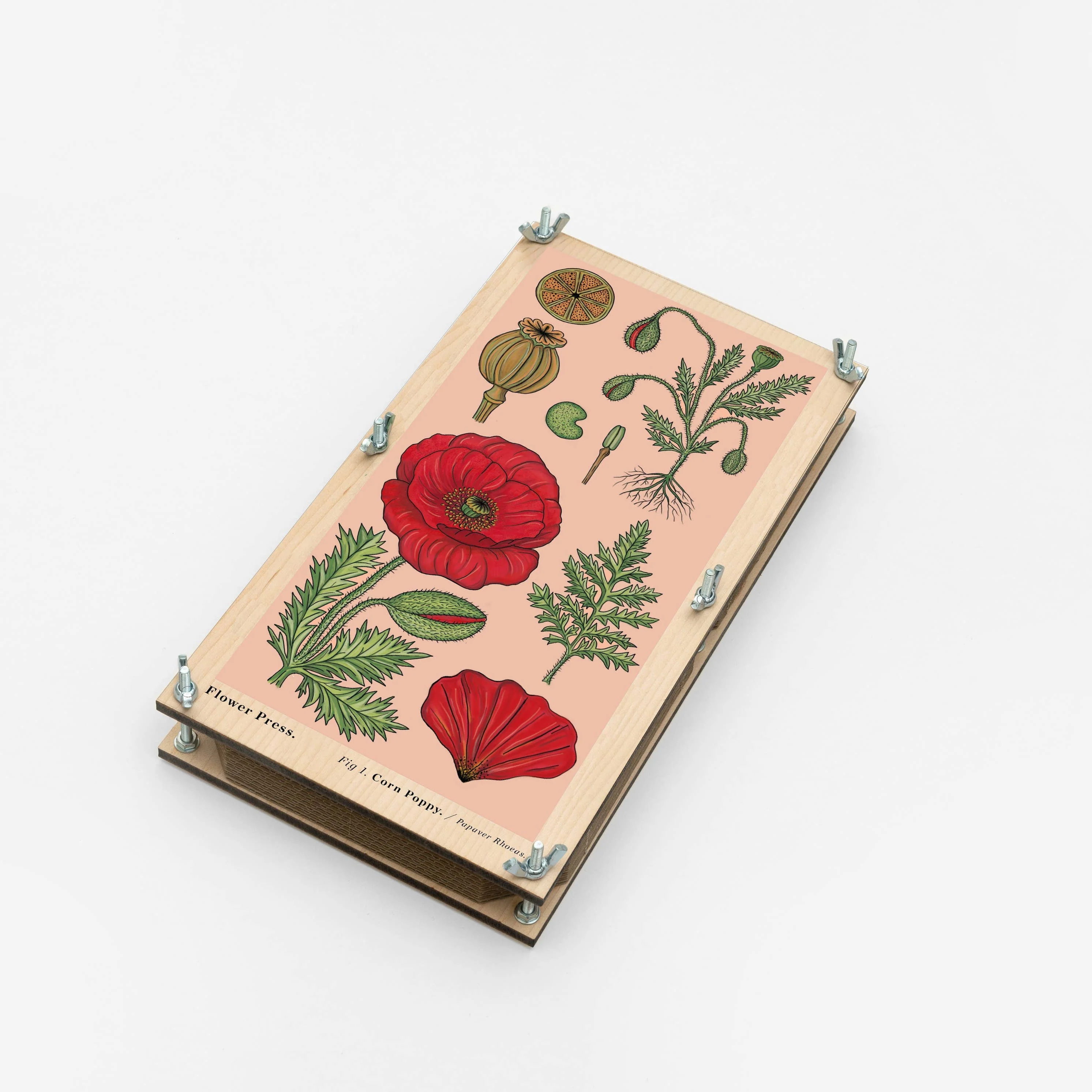 Large Flower Press - Vintage Poppy