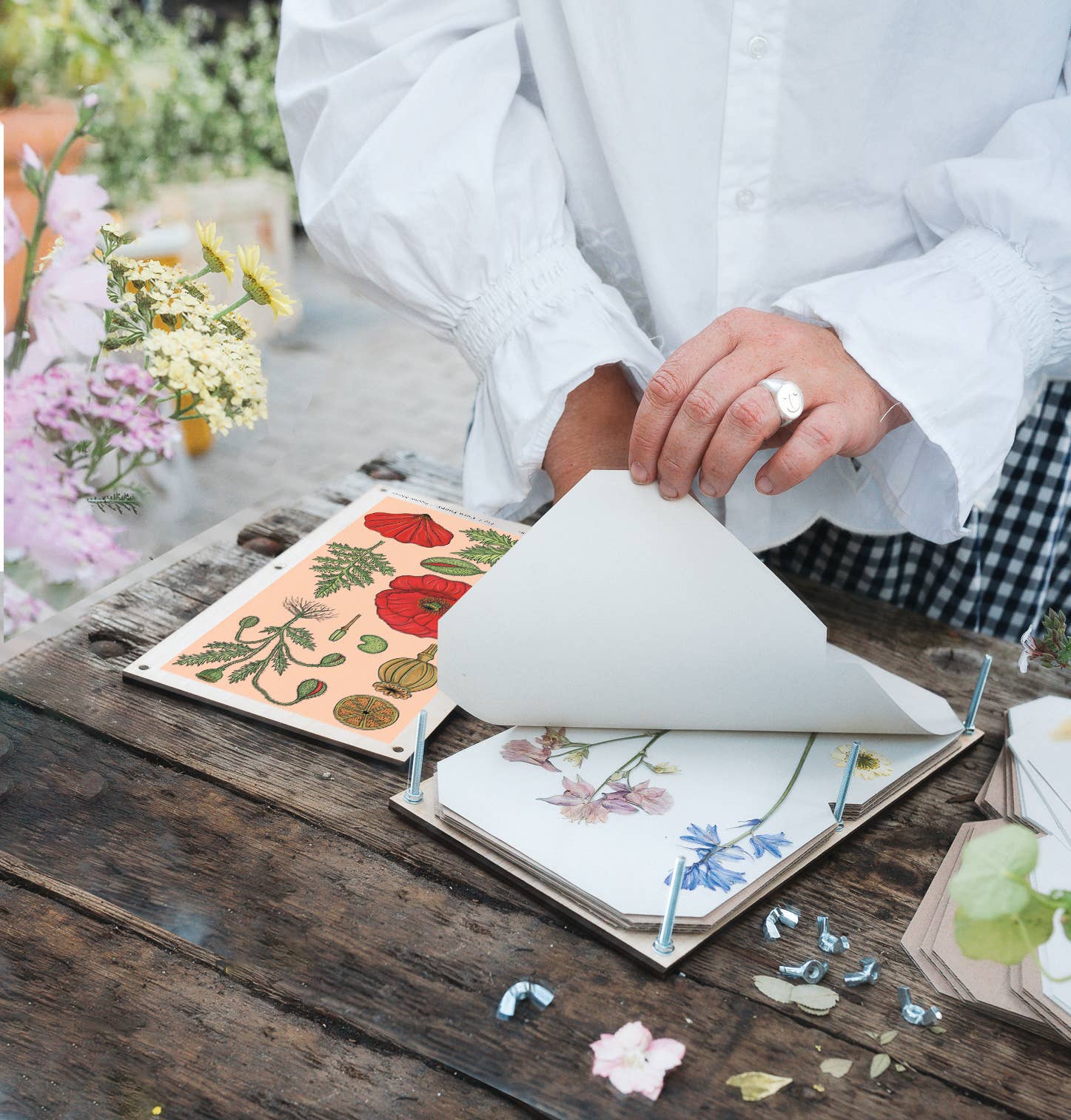 Large Flower Press - Vintage Poppy - Image 2