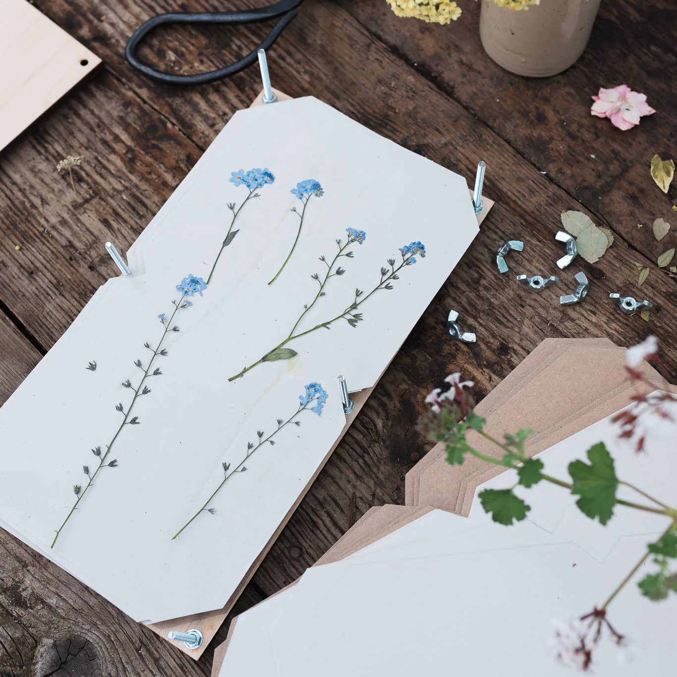 Large Flower Press - Vintage Poppy - Image 3