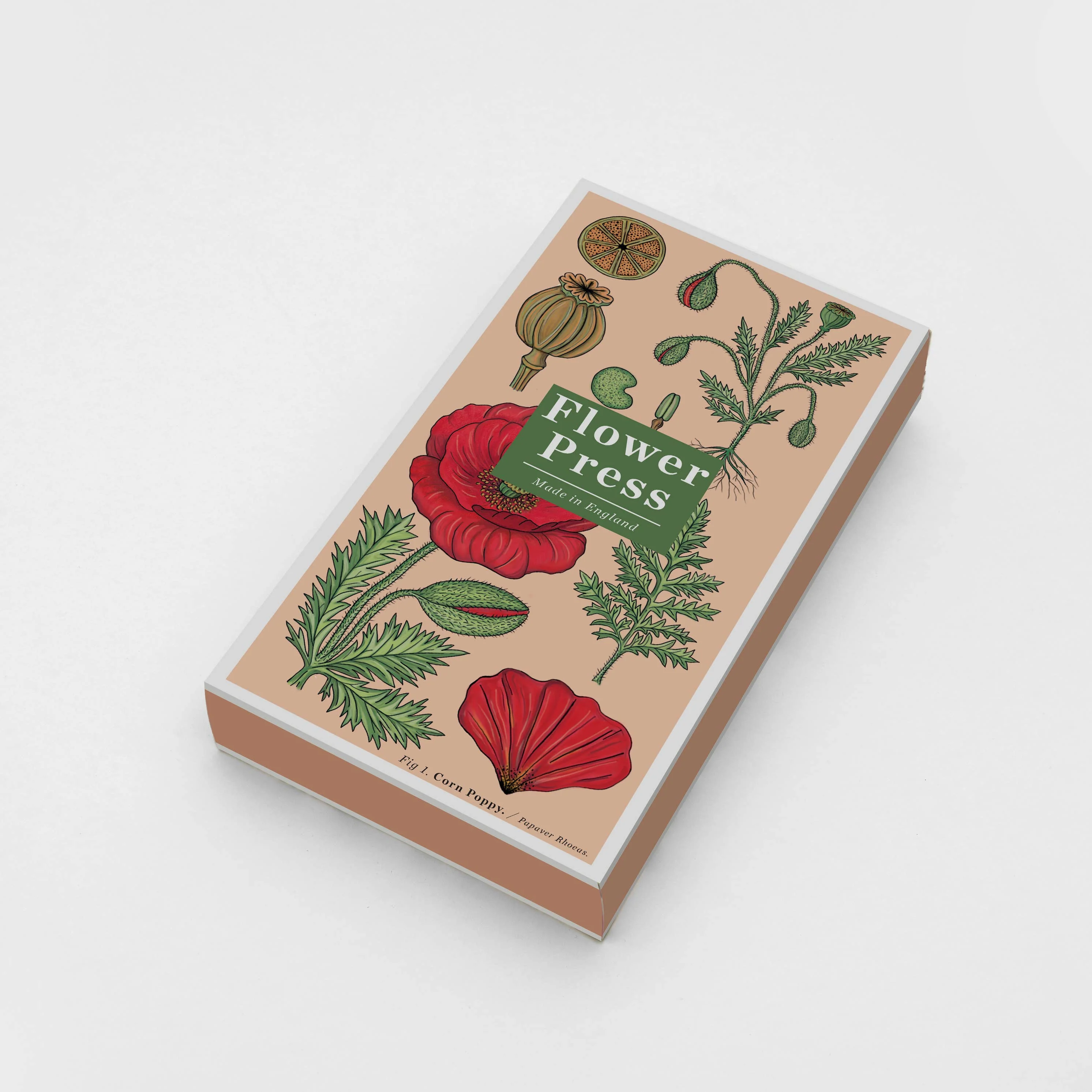 Large Flower Press - Vintage Poppy - Image 4