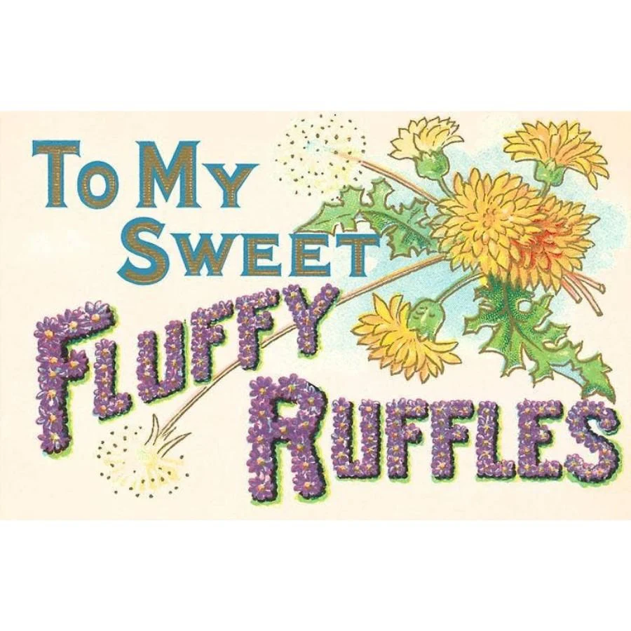 Love Postcard / To My Sweet Fluffy Ruffles