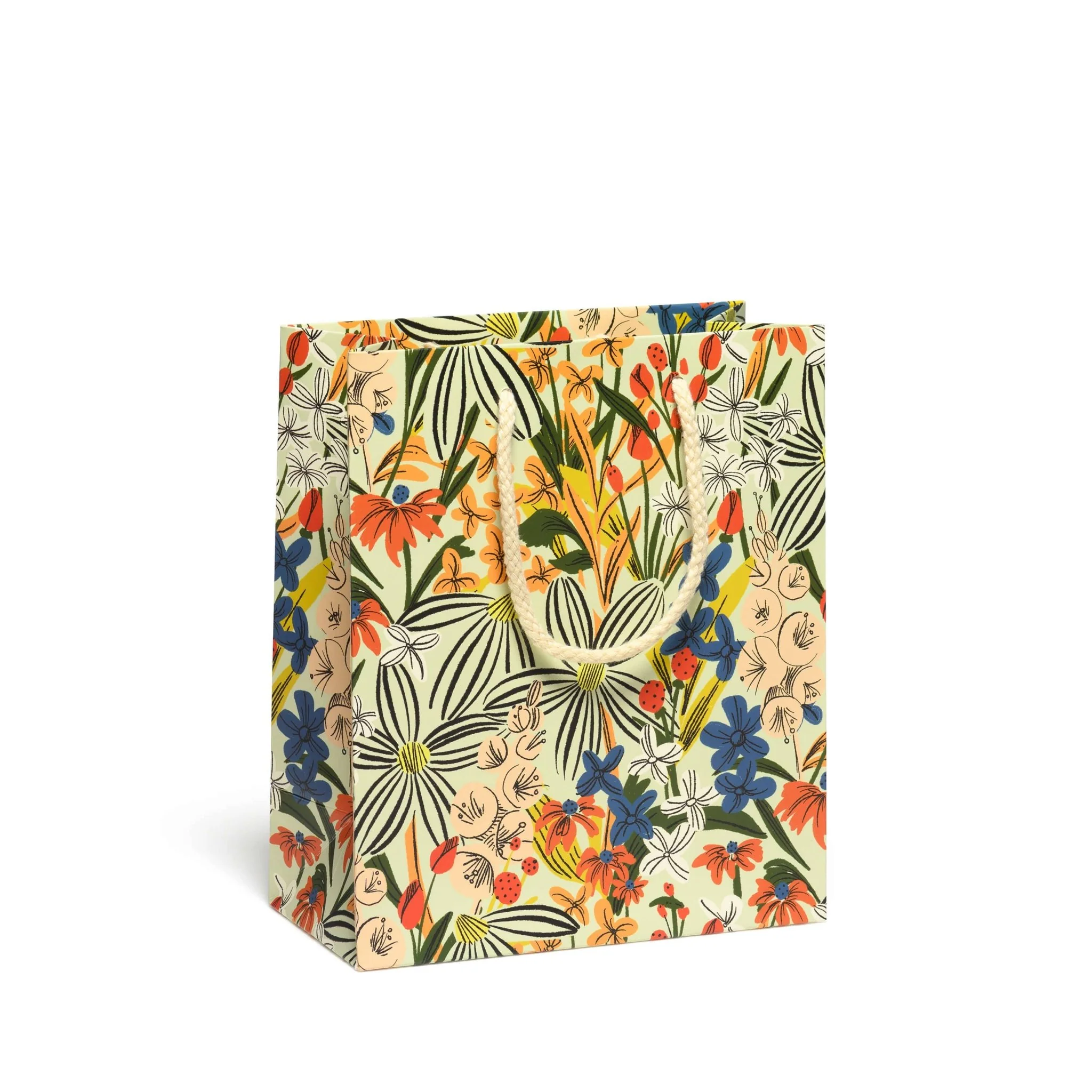 Medium Gift Bag / Striped Florals by Dylan Mierzwinski