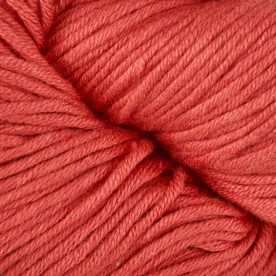 Modern Cotton / 1697 PPAC