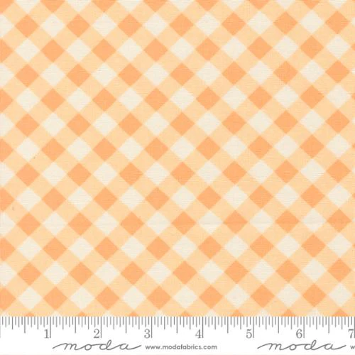Pastel Prairie / Gingham / Apricot