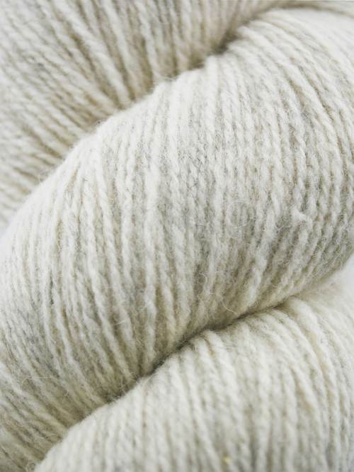 Patagonia / 117 Pearl