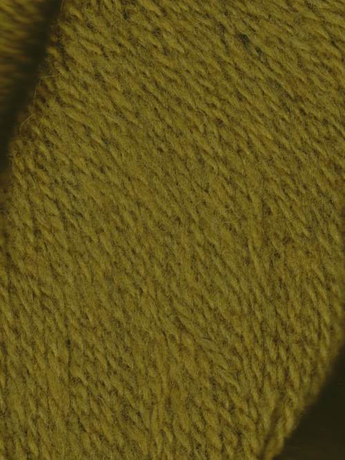 Patagonia / 132 Moss