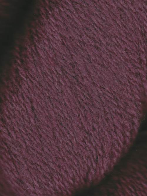 Patagonia / 136 Boysenberry
