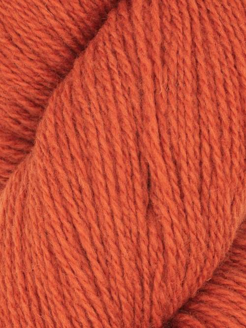 Patagonia / 141 Persimmon