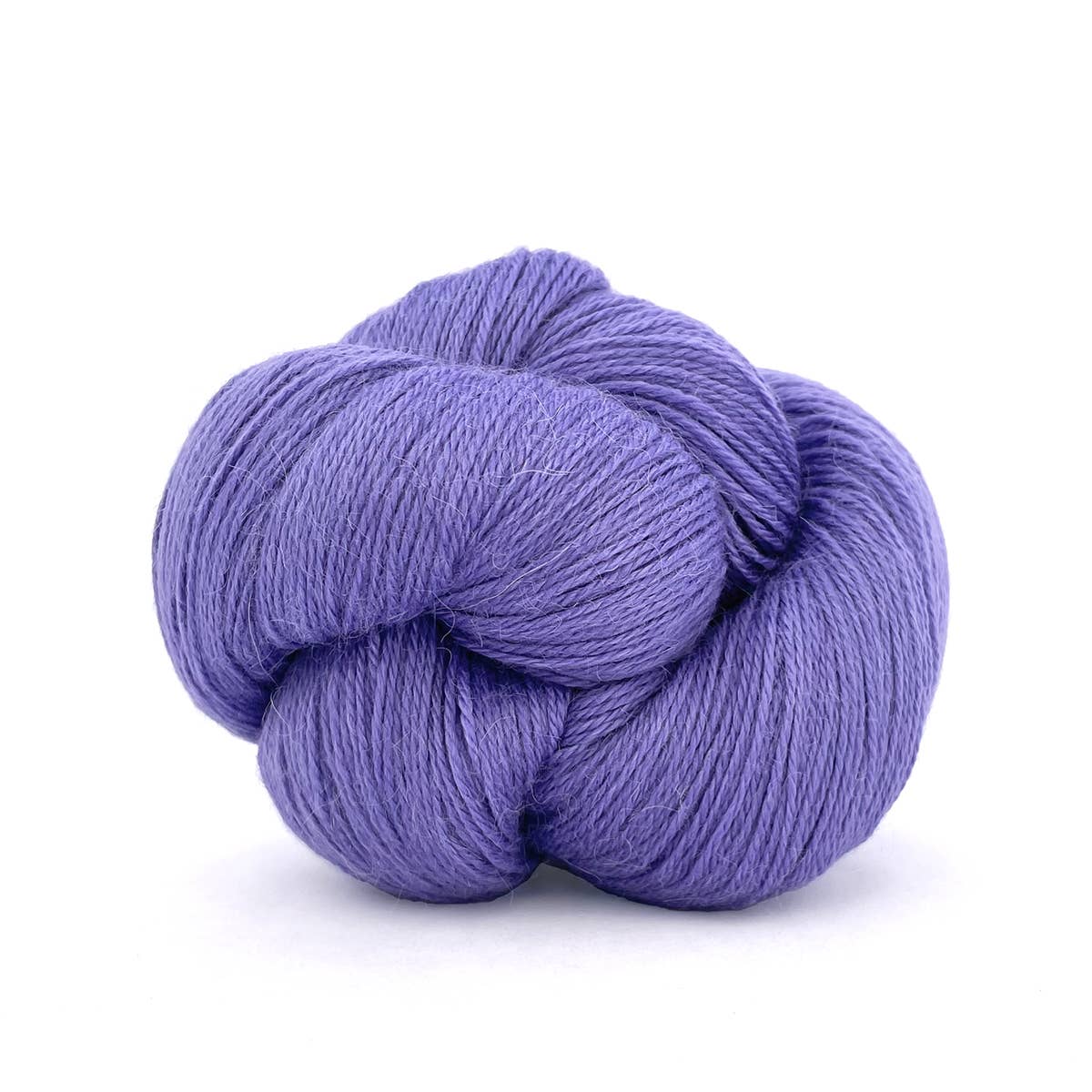 Perennial / 550 Cornflower