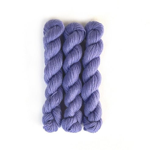Perennial Minis / 550 Cornflower