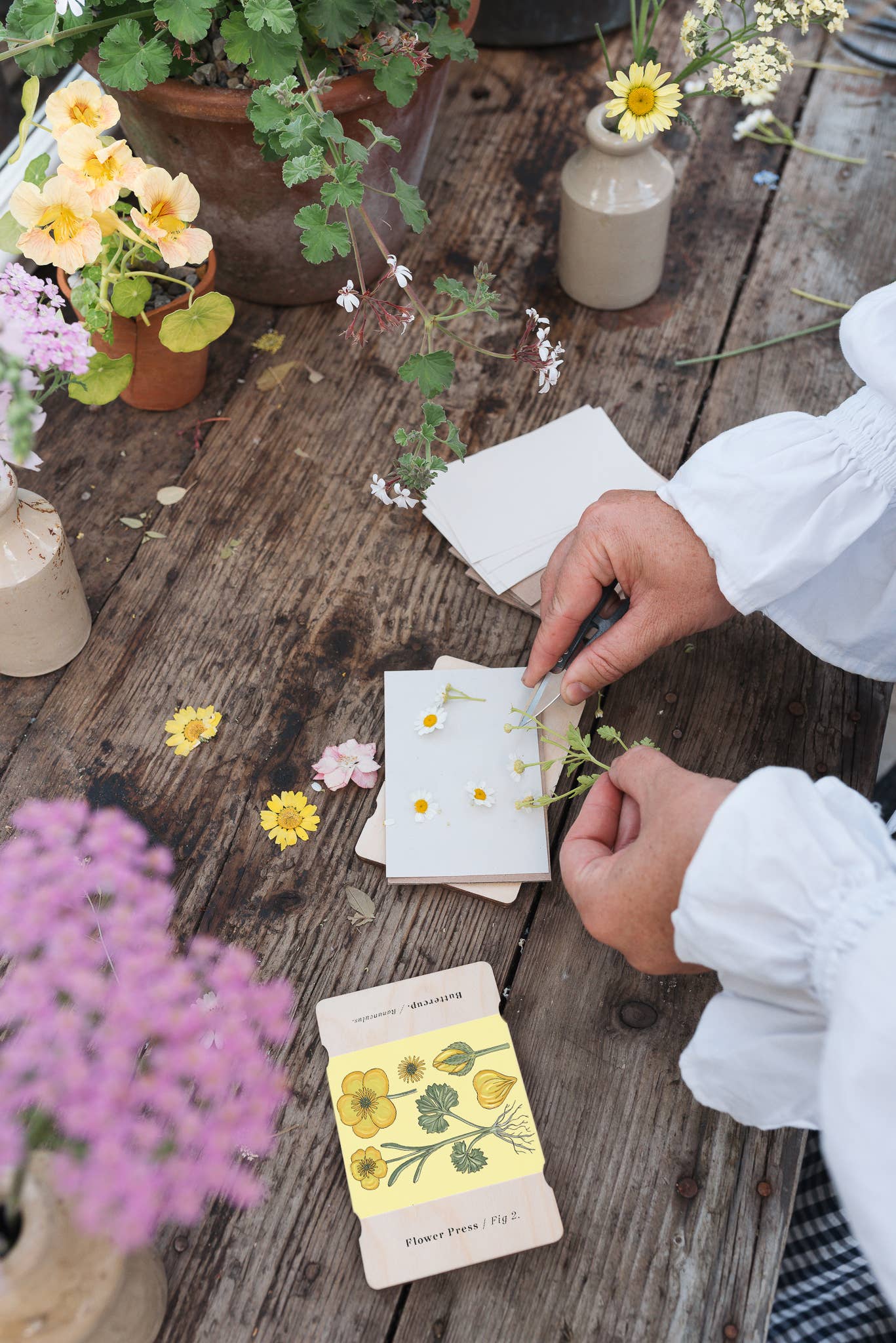 Pocket Flower Press - Vintage Buttercup - Image 2