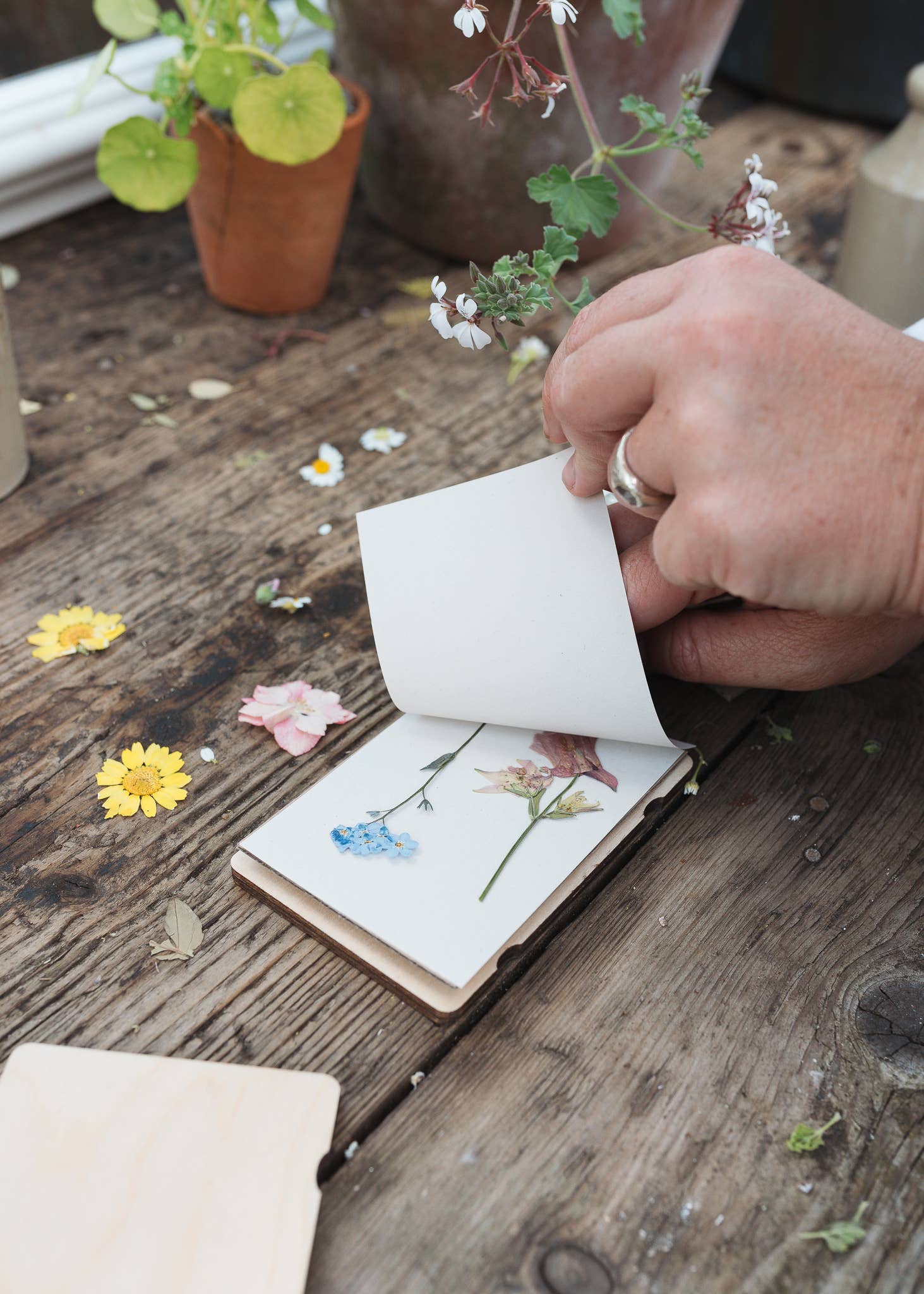Pocket Flower Press - Vintage Buttercup - Image 3