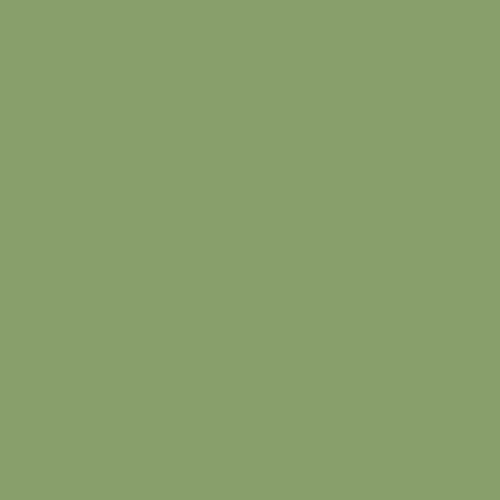Pure Solids / Asparagus