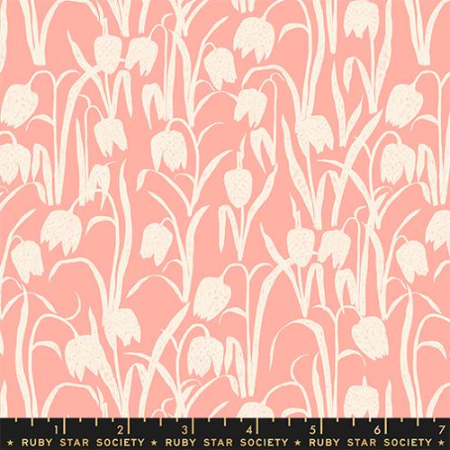 Reimagined Landscapes / Fritillaria / Bashful