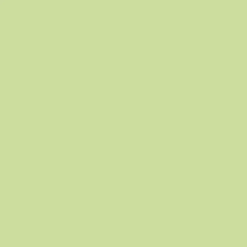 Ruby and Bee Solids / Matcha