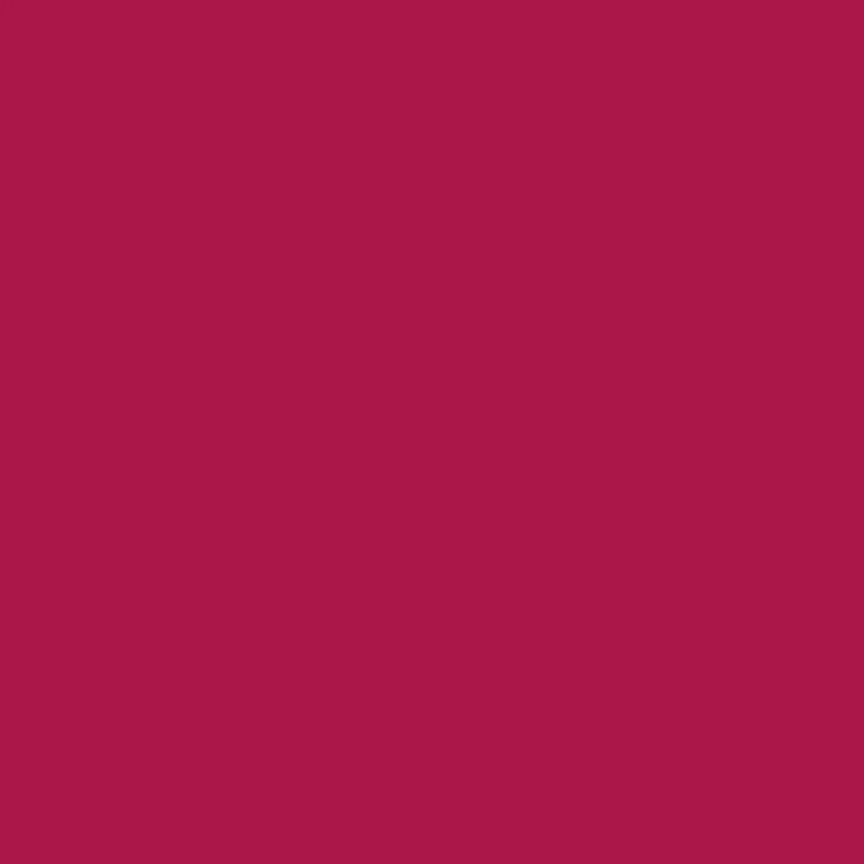 Ruby and Bee Solids / Rose Hip
