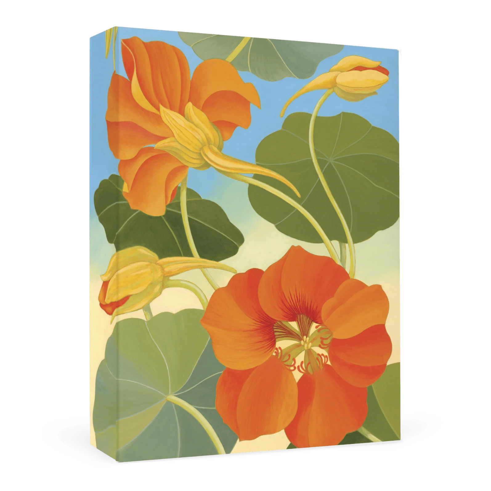 Siri Schillios: Nasturtium Boxed Thank You Notes
