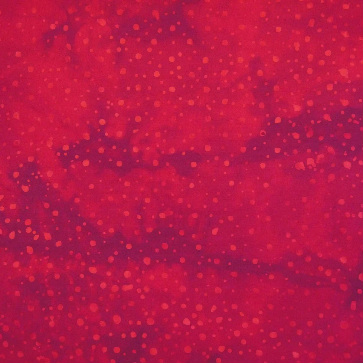 Speckles / Holiday